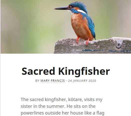 Kingfisher 36.JPG