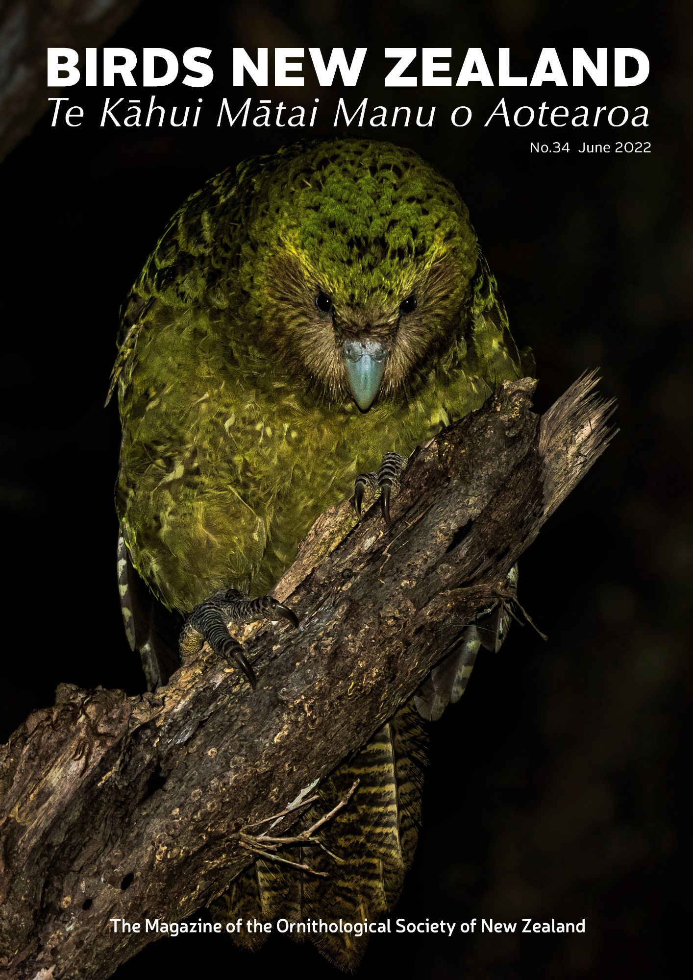 Birds NZ Magazine_June 2022_Cover.jpg