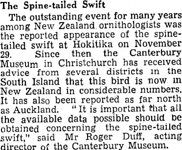 Spine-tailed swifts in NZ 1943 (2).jpg