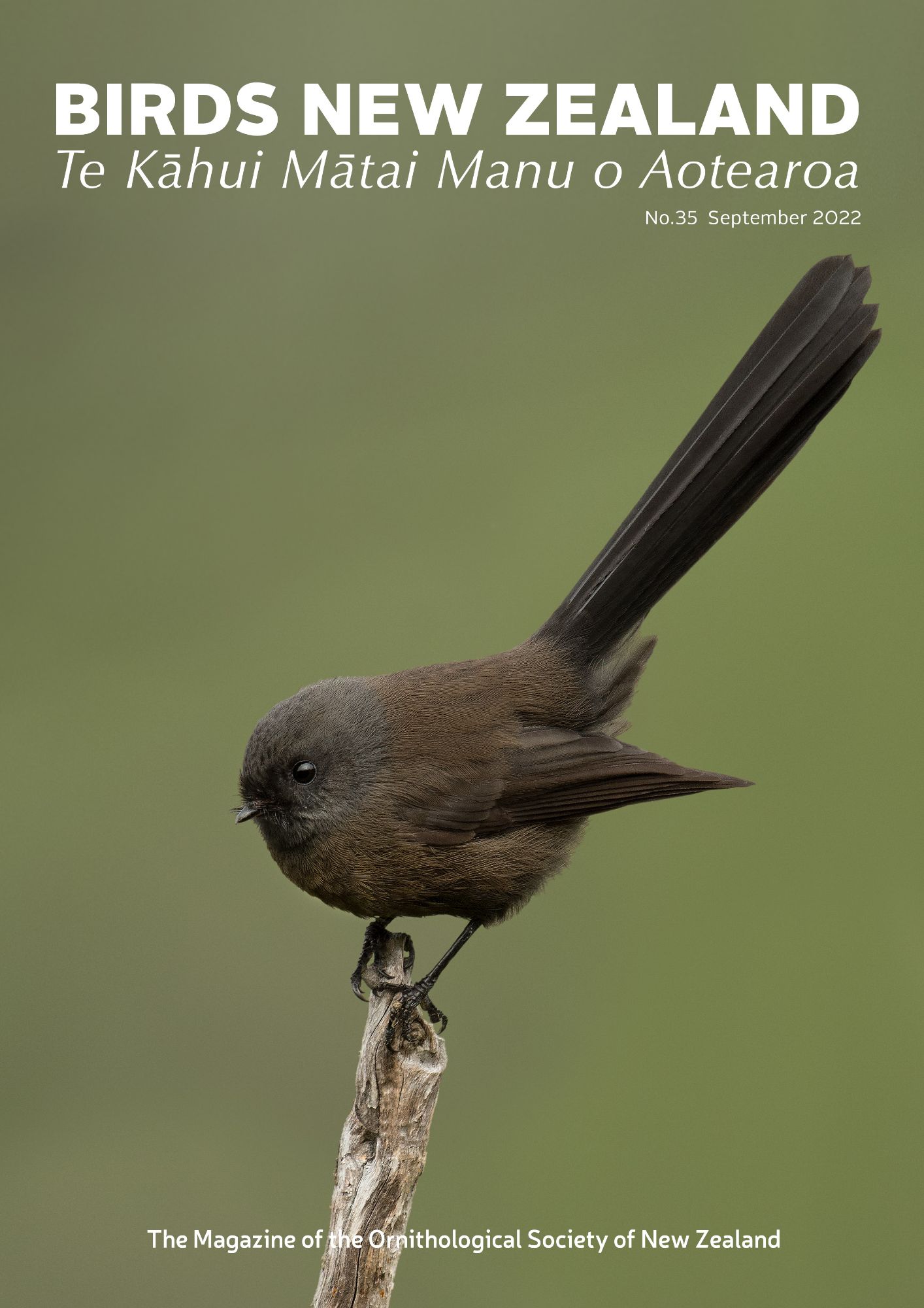 Birds NZ Magazine_September 2022_thumb.jpg