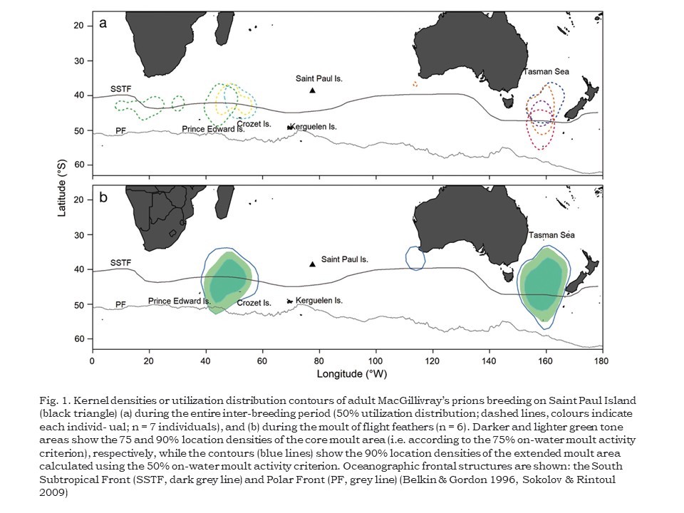 MacGillivray's prion at sea maps.jpg