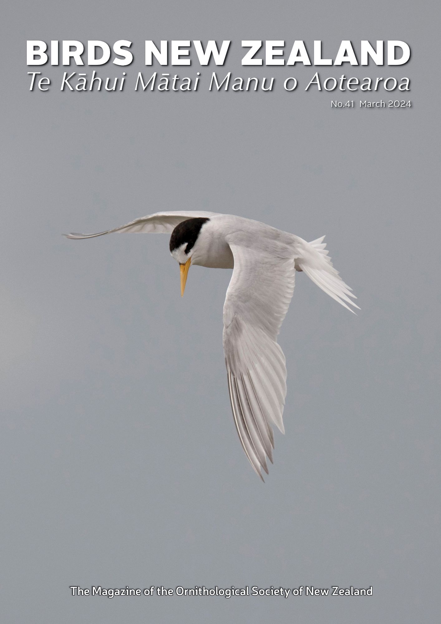 Birds NZ Magazine(41)_March 2024_cover.jpg