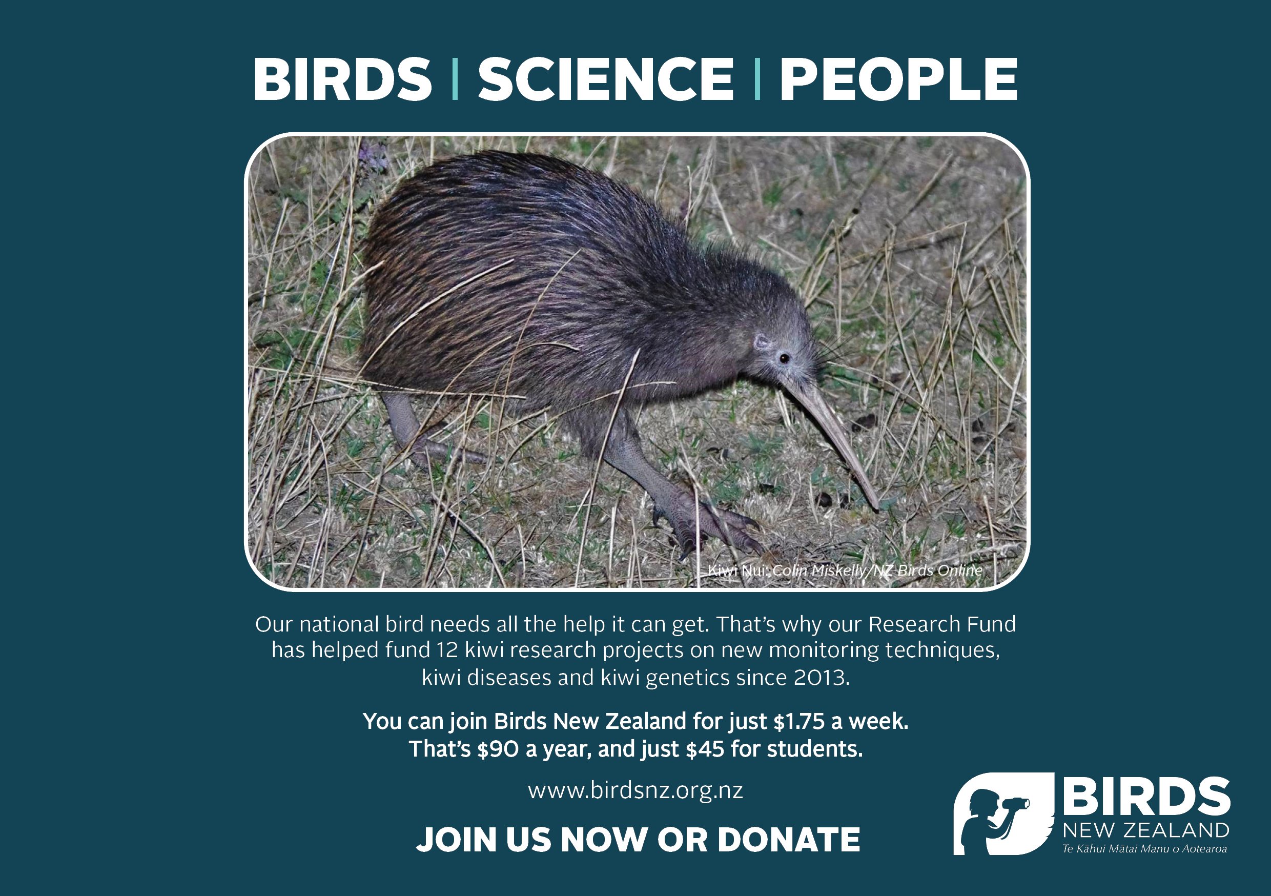 Membership promo design_Kiwi Nui_A5.jpg