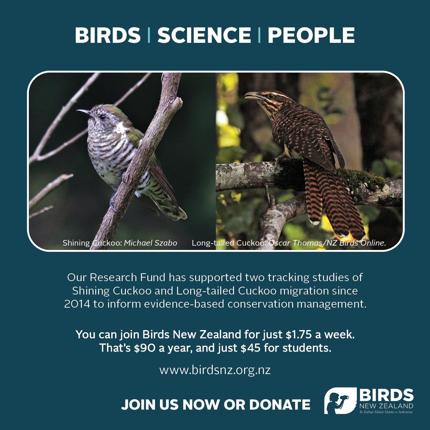 Membership promo design_Cuckoo _Social Media tile.jpg