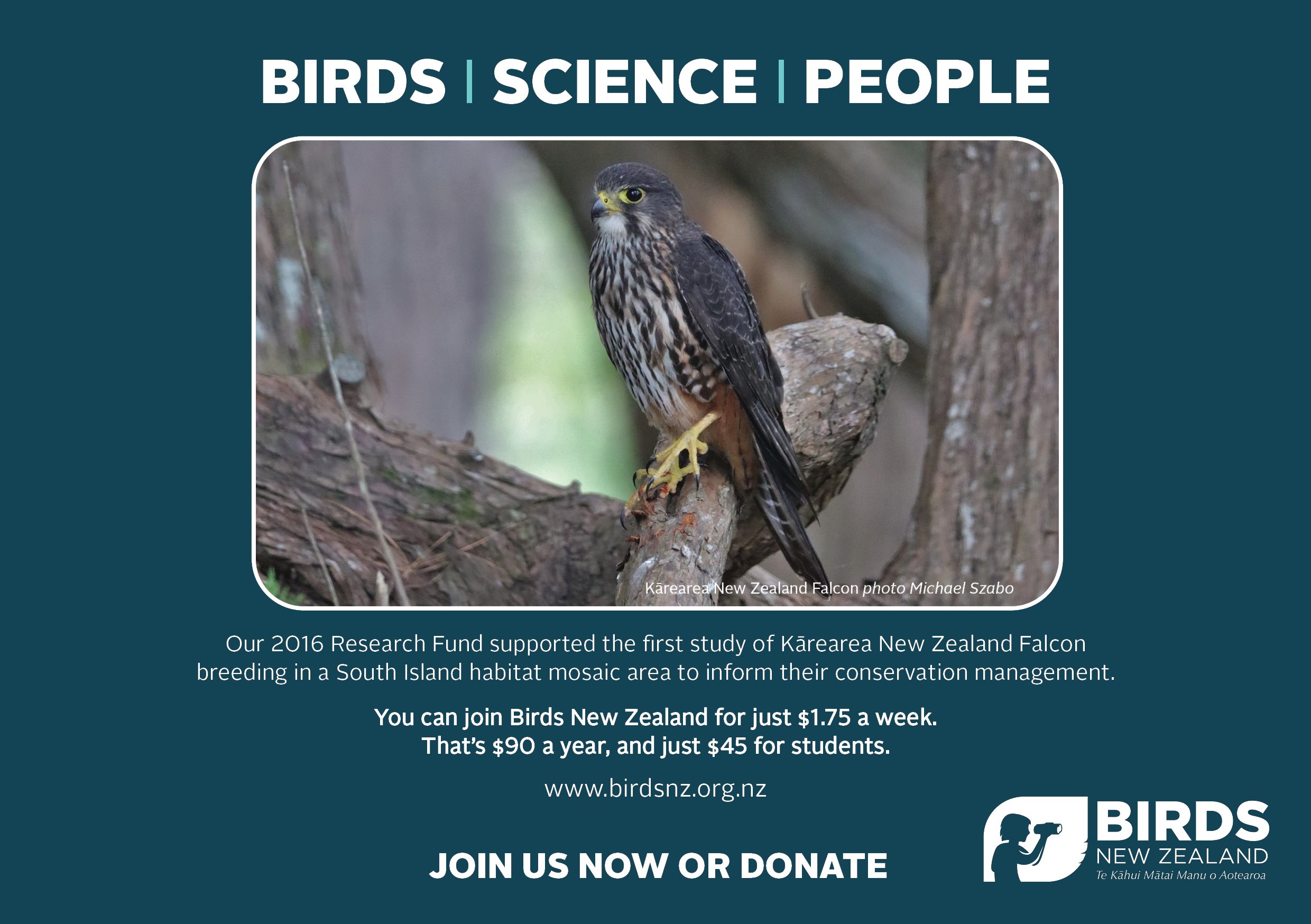 Membership promo design_NZ Falcon_A5 (2).jpg