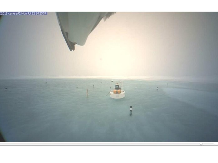 north-pole-cam2-with-bird small.jpg