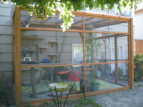 outside-cat-enclosures-cage-of-house-awesome-all-about-spaces-for-sale-qld-enclosure.jpg