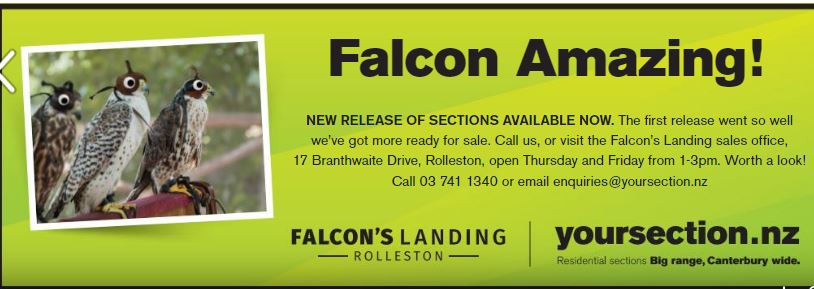 Falcons landing 6.JPG