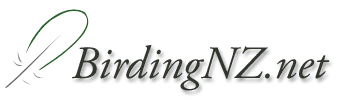 BirdingNZ.net discussion forum